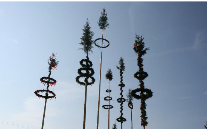 Maibaumaufstellen St. Marien