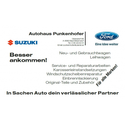 Autohaus Martina Punkenhofer e.U.
