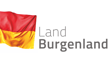 Informationsblatt Sommersonnwendfeuer 2025