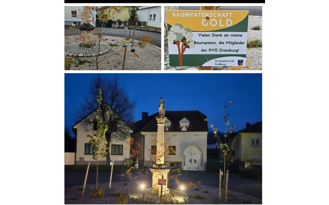 Baumpatenschaft der Mitglieder des PVÖ Draßburg