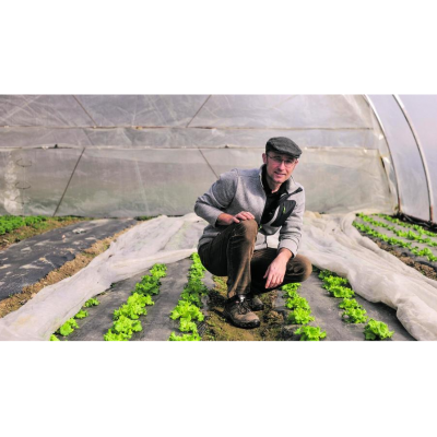 Peischl`s Gemüsegarten und Gartenpflege  Peischl`s Gemüsegarten und Gartenpflege