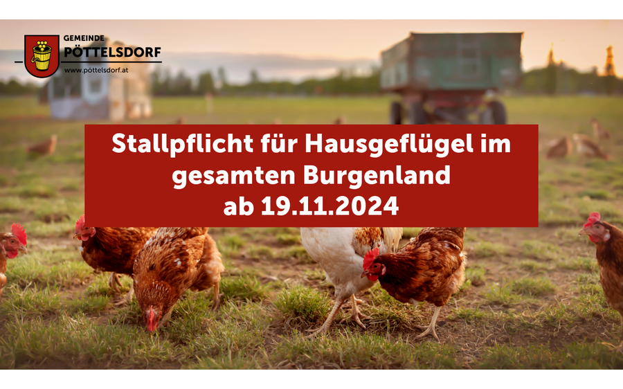  Wichtige Information für Geflügelhalter im Burgenland