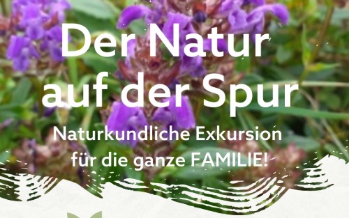 Naturkundliche Exkursion für die ganze FAMILIE!