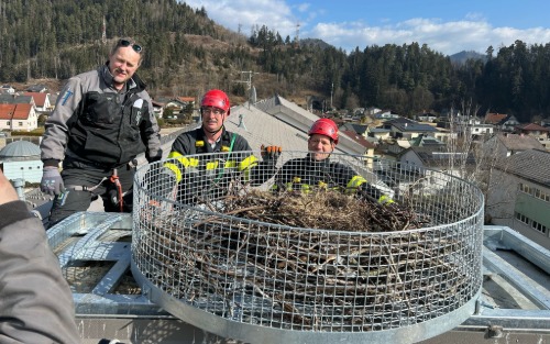 Neues Zuhause für unsere Störche!