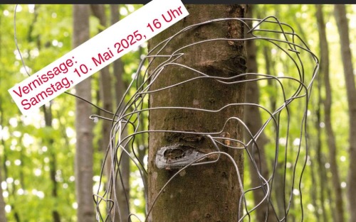 10.05.2025 Land Art Vernissage im Grünen!, Botanischer Garten Linz