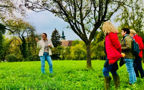 Neues Projekt der Moststraße: Regionale Sortenvielfalt entdecken - Kulturlandschaft erleben