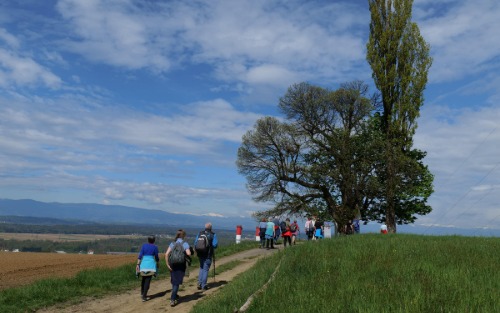 Geologisch-botanische Wanderung in Wildon