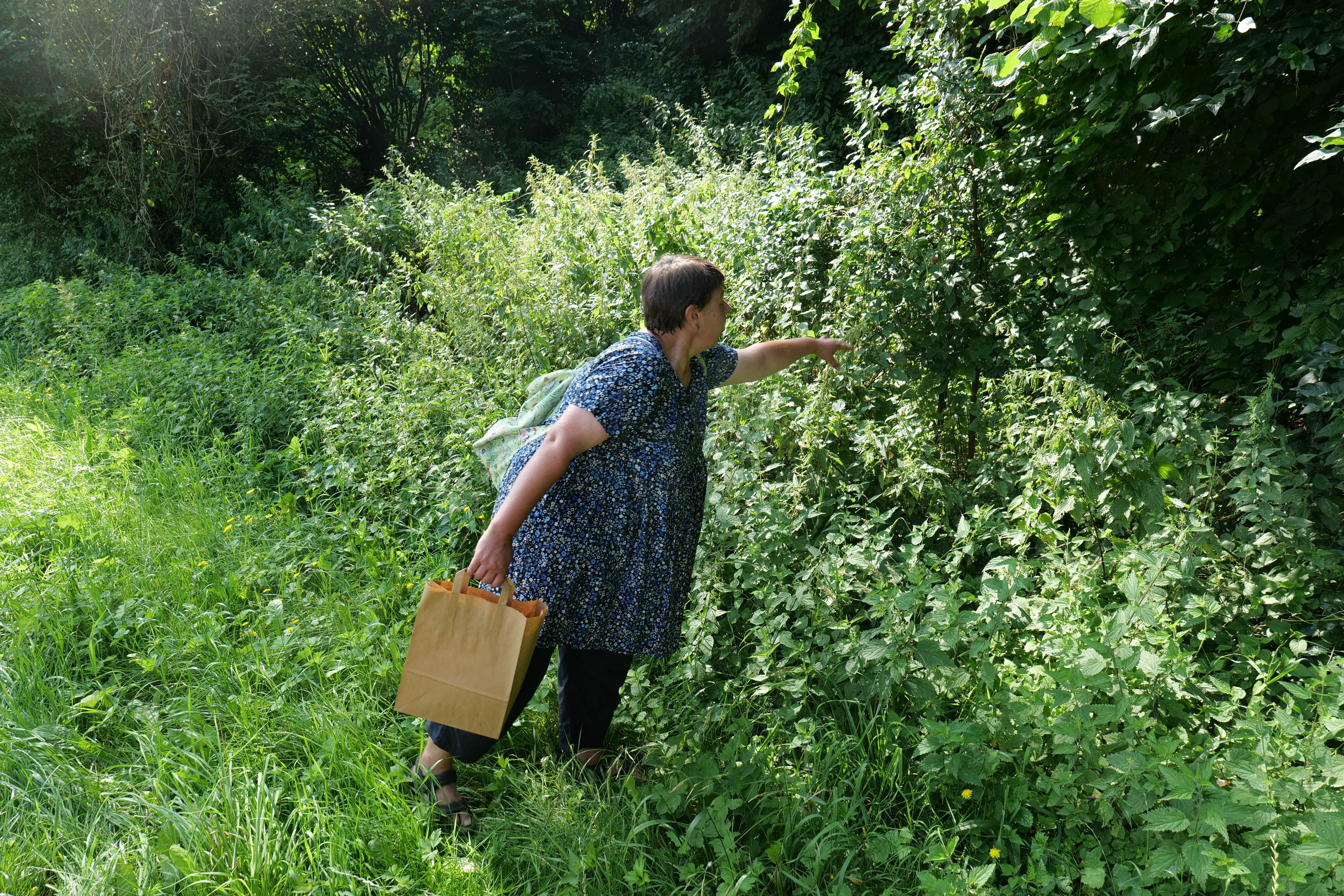 Kräuterwanderung 