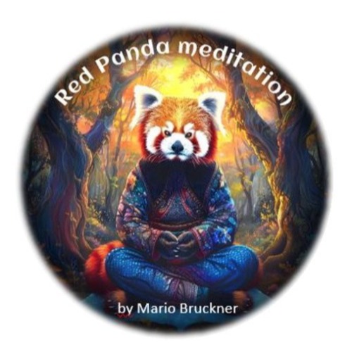 Red Panda meditation (Mario Bruckner)