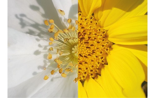 Fotokurs: Die Natur im Augen-Blick