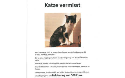 Katze in der Siedlungsgasse vermisst!