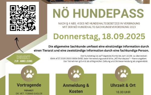 NÖ Hundepass erlangen in Amstetten