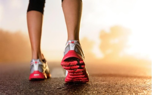 IVV-Wandertag mit Nordic Walking