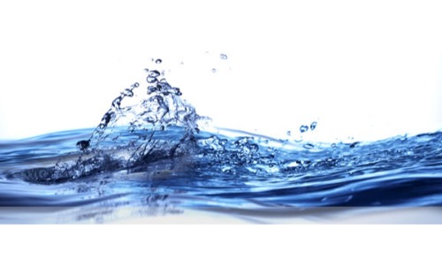 WVG Mautern: Vollversammlung 2026