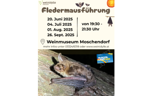 04.07.2025 Fledermausführung, Weinmuseum