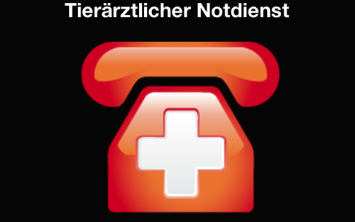 Tierärztlicher Notdienst 3. Quartal 2025