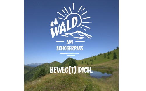 03.07.2025 Sommertheater der VS Wald - Willkommen in der Waldschule!, Volksschule