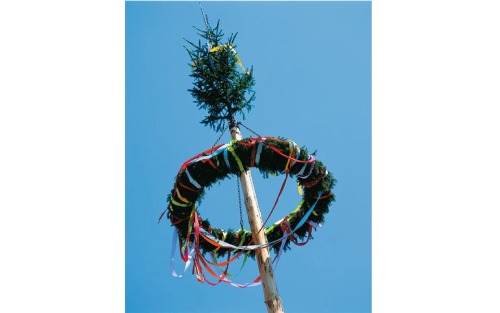 Maibaum umschneiden derBrauchtumsgruppe Lassing