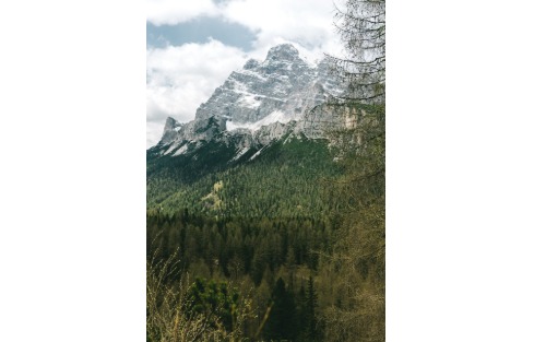 Sommerprogramm - Nature Filmfestival