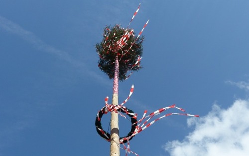 Maibaum umschneiden mit Frühshoppen - 40 Jahr Jubiläum des Theatervereins Katsch
