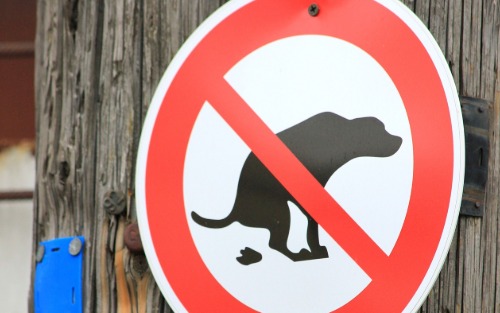 Freilaufende Hunde