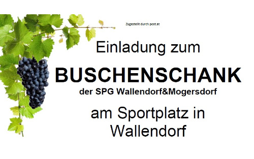 25.07.2025 Buschenschank der SPG Wallendorf-Mogersdorf, Sportplatz Wallendorf