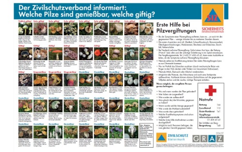 Der Zivilschutzverband informiert: Welche Pilze sind genießbar, welche giftig?