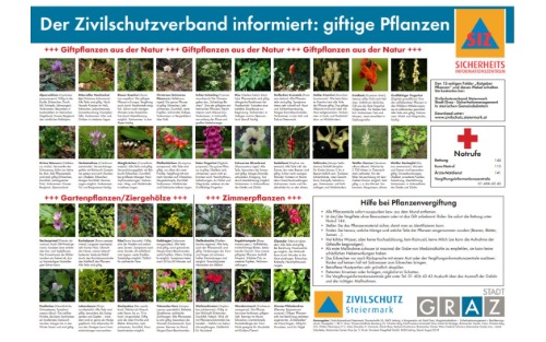 Der Zivilschutzverband informiert: giftige Pflanzen