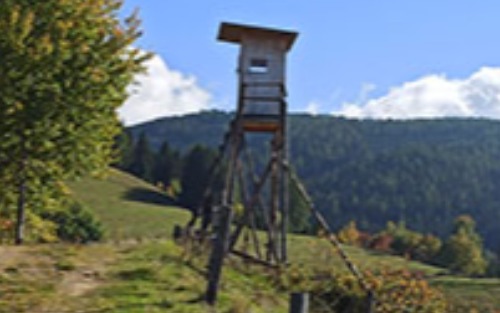 Jagdpachtschilling