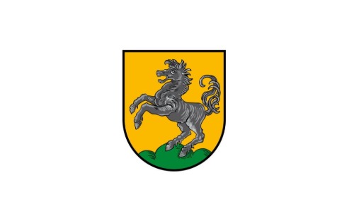 Kundmachung des 1. Nachtragsvoranschlages für das HH 2025, sowie adaptierter MEFP für die Jahre 2025-2029