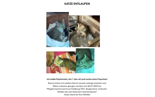 Katze entlaufen!