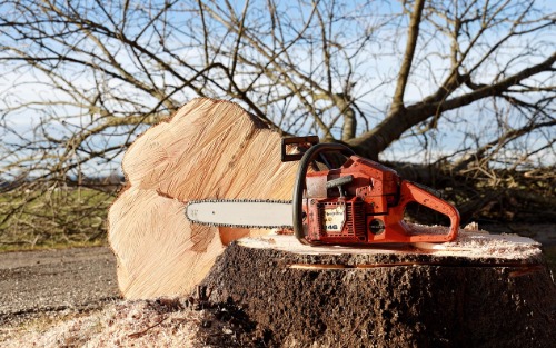 Sperre aufgrund von Holzschlägerungsarbeiten
