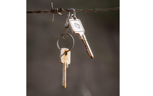 Fundstück - Fundort Waldweg