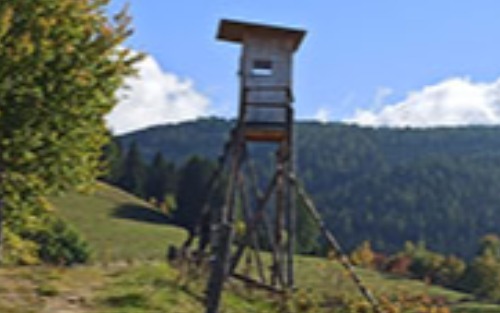 Wiederholungsprüfung Aufsichtsjäger 2025