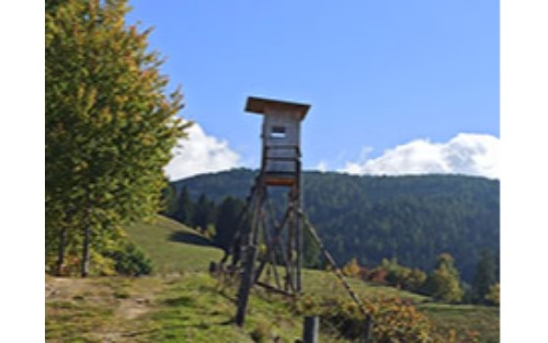 Jagdpachtschilling Kobenz 2025