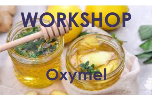 19.08.2025 Workshop Oxymel, Römersiedlung 301
