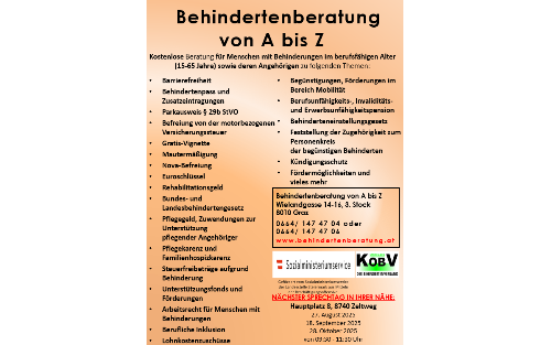Sprechtage für Menschen mit Behinderungen im berufsfähigen Alter