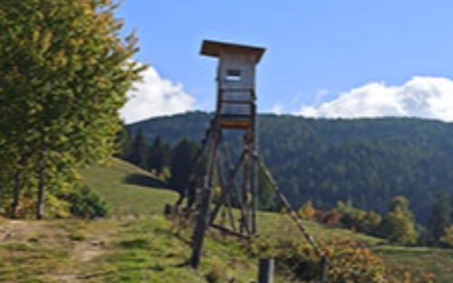 Jagdpachtschilling Lobmingtal 2025