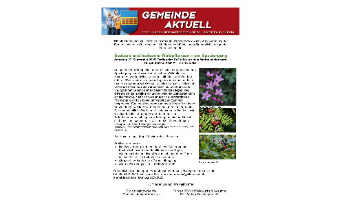 Gemeinde aktuell