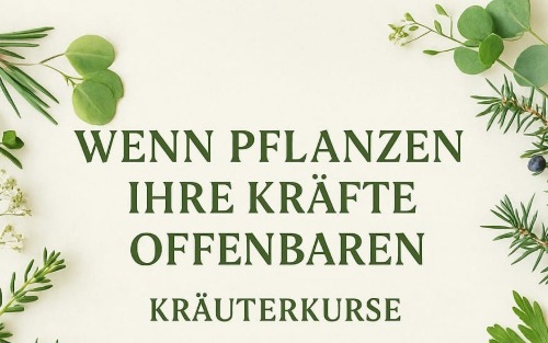 20.09.2025 Wenn Kräuter ihre Kräfte offenbaren, Seniorenstube Heinfels