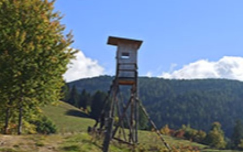 Jagdpachschilling Kraubath an der Mur