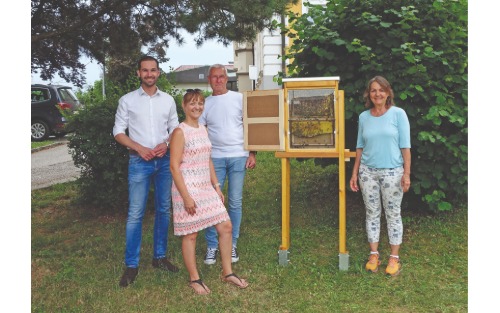 Bienenschaustock vor dem Gemeindeamt