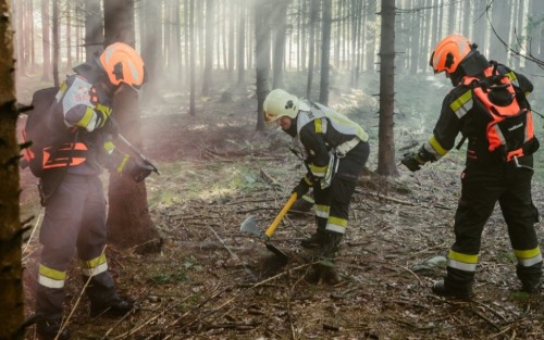 Waldbrandübung in Altenmarkt