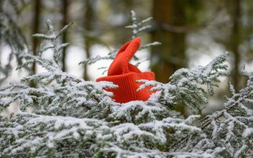 Schöderberger Bergadvent
