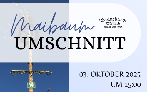 03.10.2025 Maibaum Umschnitt, Am Platzerl vom Lod`n