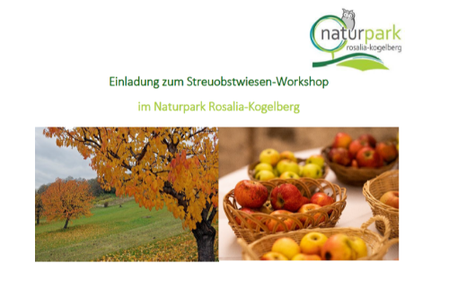 Streuobstwiesen-Workshop