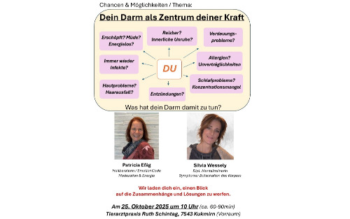 Vortrag: 