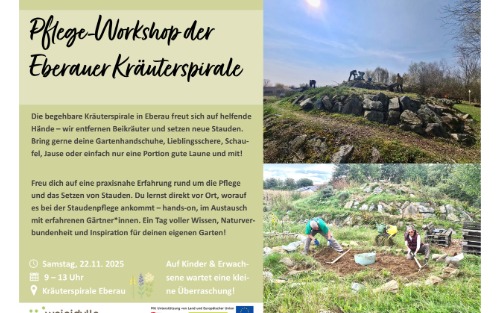 22.11.2025 Pflege-Workshop der Eberauer Kräuterspirale beim Eberauer Biotop, Kräuterspirale Eberau