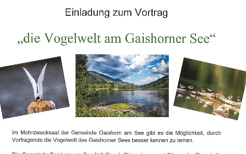 Einladung zum Vortrag 