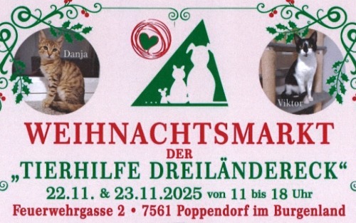 22.11.2025 Weihnachtsbasar der Tierhilfe Dreiländereck, im Feuerwehrhaus Poppendorf-Ort